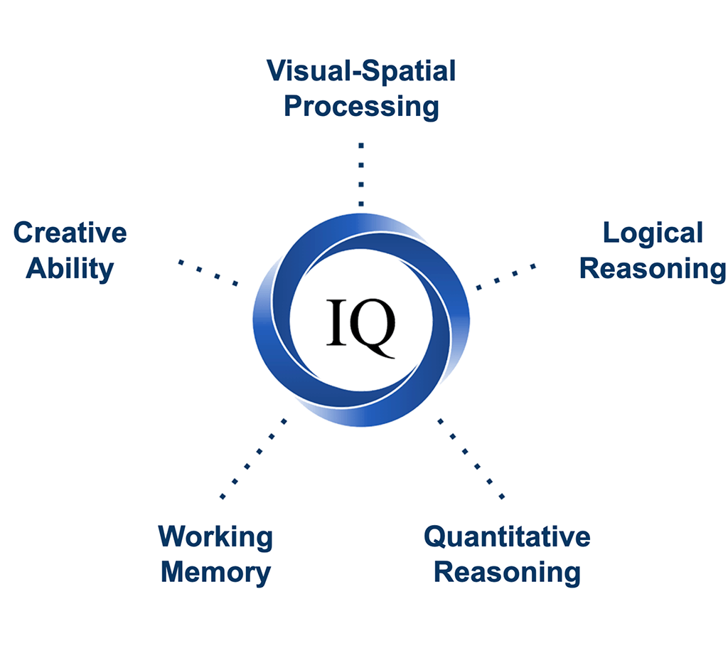 iq test framework