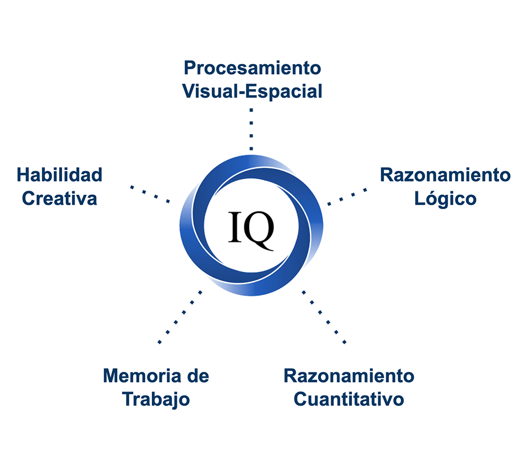 marco de prueba de inteligencia